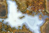 Colorful Polished Thunderegg Half - Nevada #337806-1